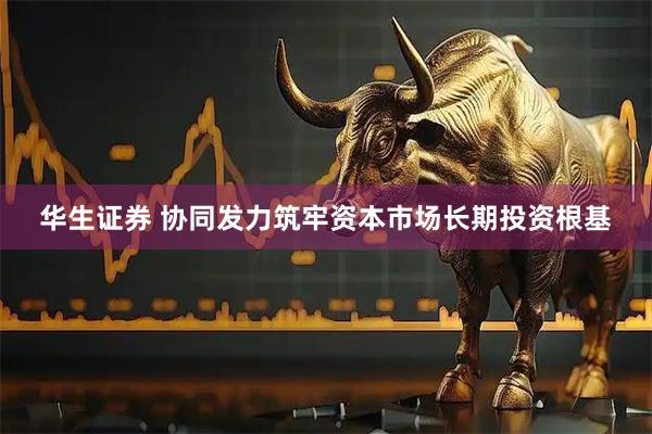 华生证券 协同发力筑牢资本市场长期投资根基