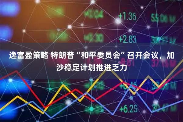 逸富盈策略 特朗普“和平委员会”召开会议，加沙稳定计划推进乏力
